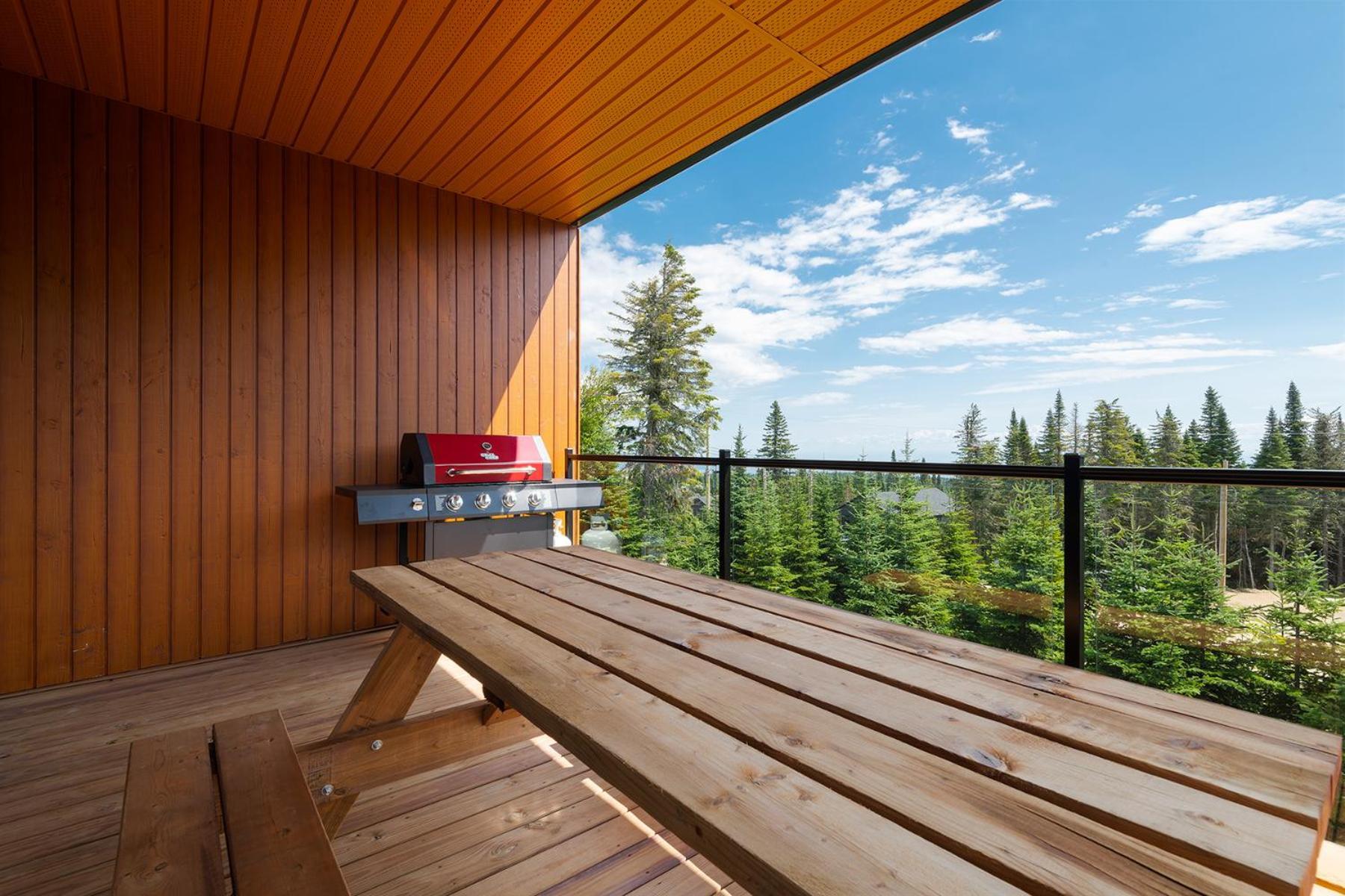 Les Chalets-Forêt du Massif Petite-Riviere-Saint-Francois Quarto foto