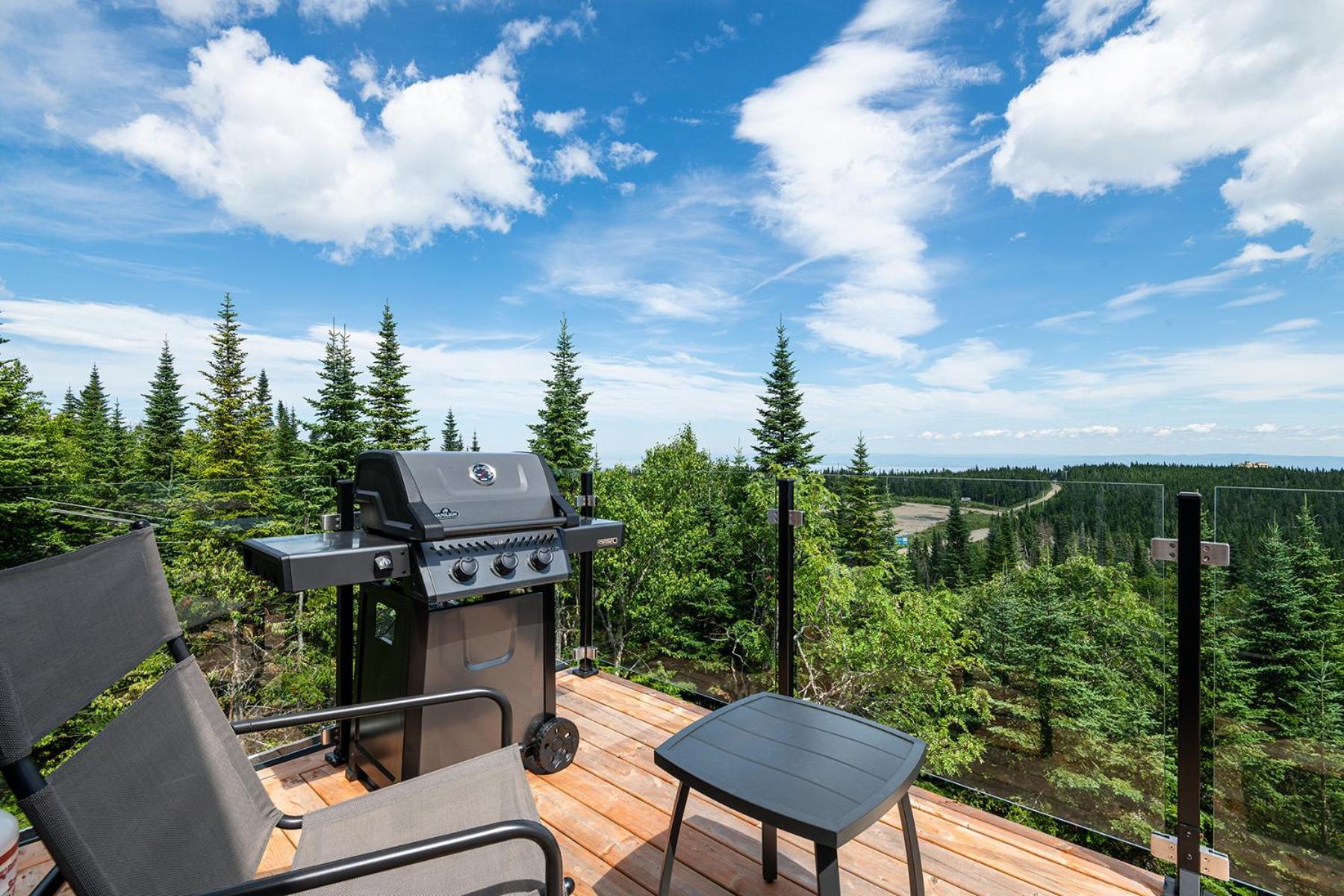 Les Chalets-Forêt du Massif Petite-Riviere-Saint-Francois Quarto foto